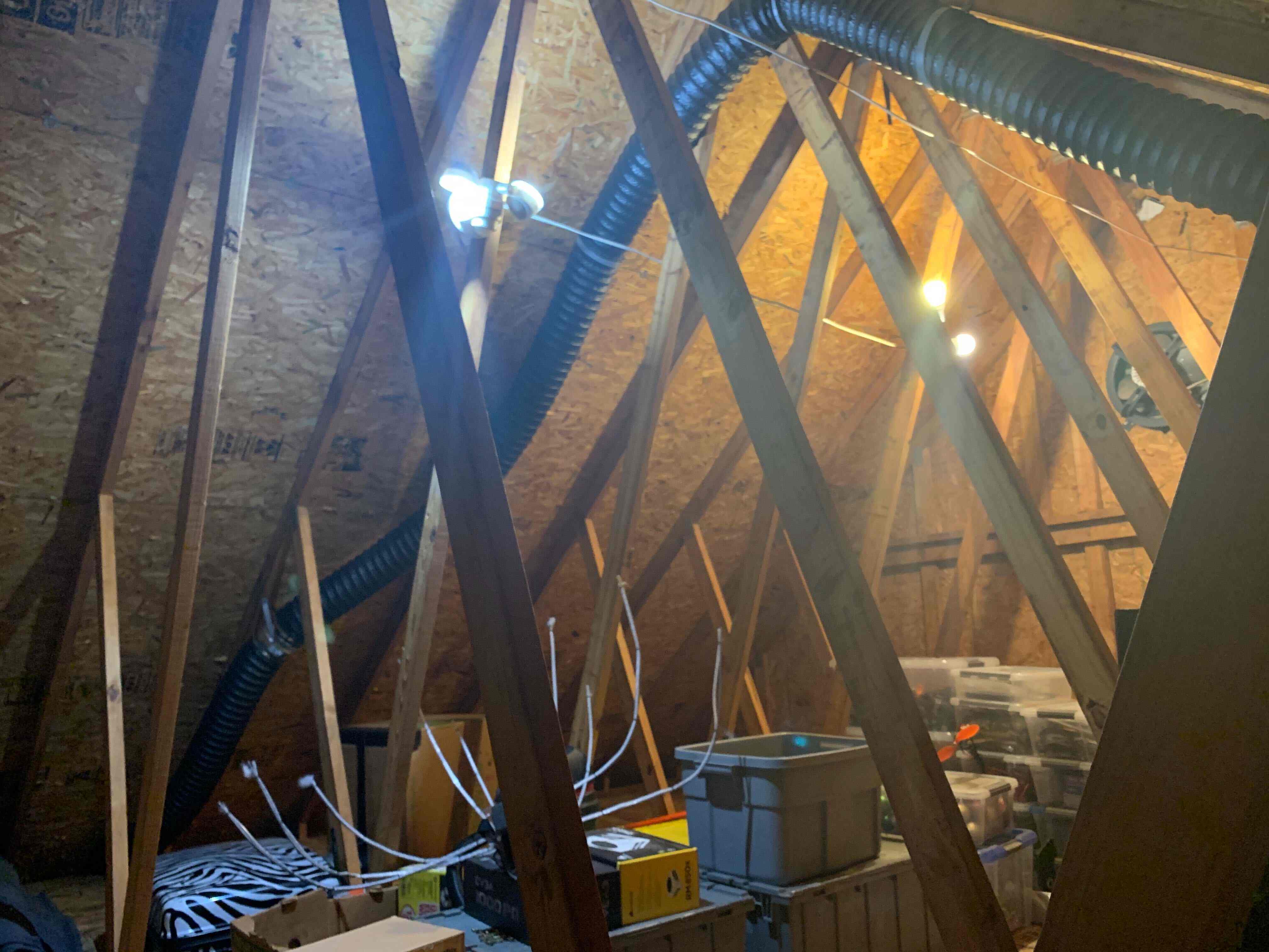 25ft of exhaust hose